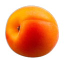 Apricot