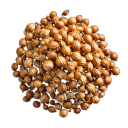 Coriander