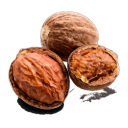 Nutmeg