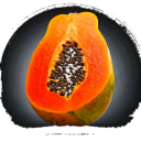 Papaya