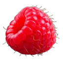 Raspberry