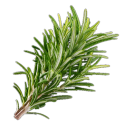 Rosemary