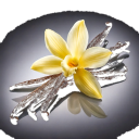 Vanilla